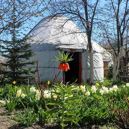 Karakol Yurt Lodge Kültér fotó
